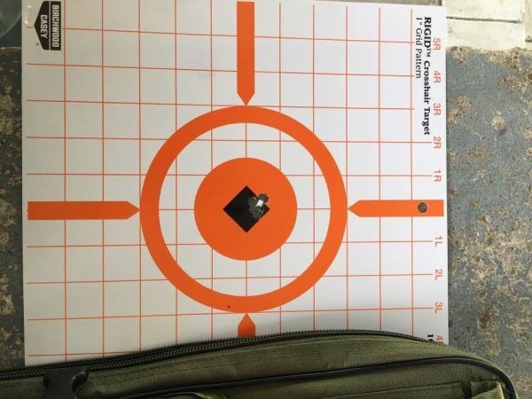 Bore Sighted .308