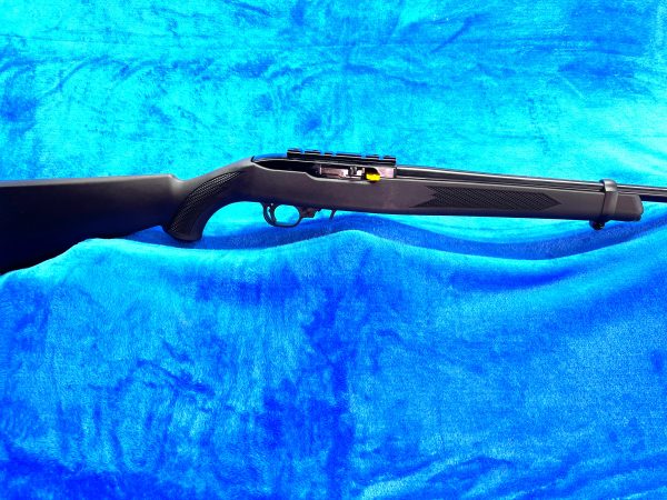 .22LR 10/22 Ruger Carbine